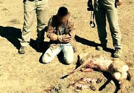 سه شکارچی در گناباد دستگیر شدند