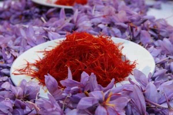 طلای سرخ به نصف قیمت رسید