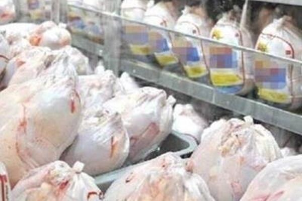 گوشت مرغ؛ صدرنشین افزایش قیمت