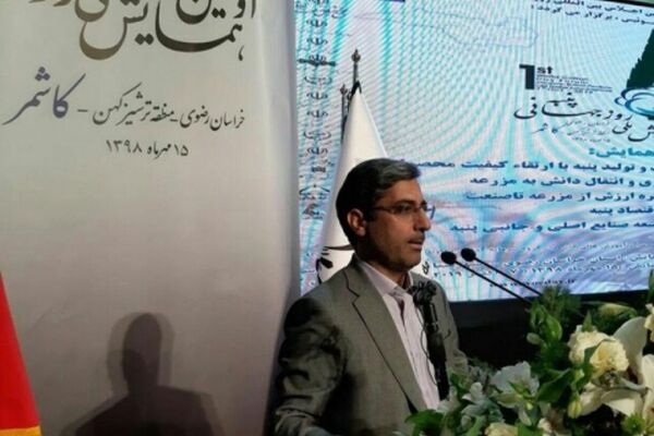 یک هزار و 125 روستا تحت پوشش 100 معین اقتصادی