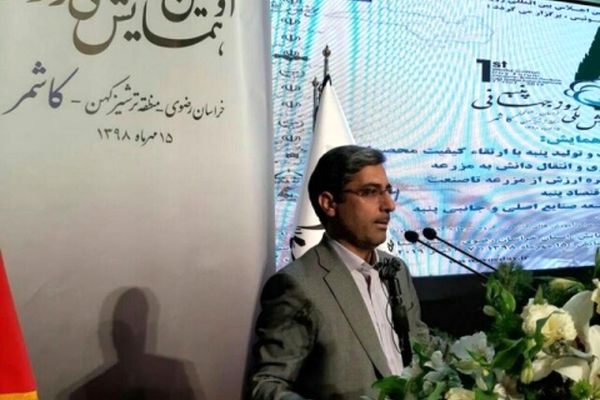 یک هزار و 125 روستا تحت پوشش 100 معین اقتصادی