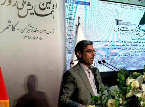 یک هزار و 125 روستا تحت پوشش 100 معین اقتصادی
