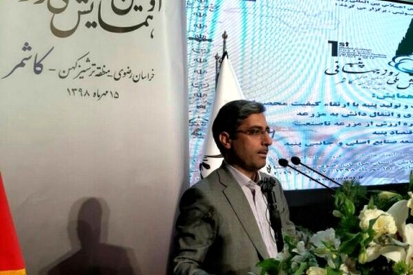 یک هزار و 125 روستا تحت پوشش 100 معین اقتصادی