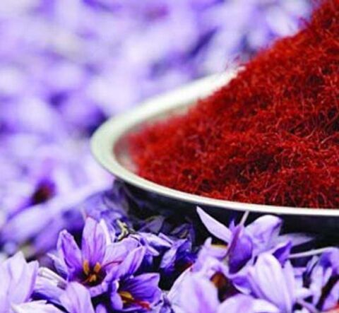 راه اندازی بزرگترین بازار گل زعفران شرق کشور در تربت حیدریه