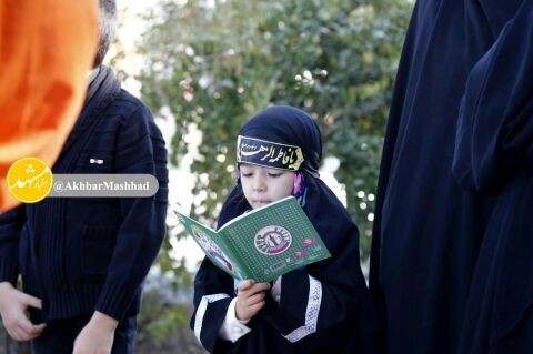 پیاده روی جاماندگان اربعین در مشهد