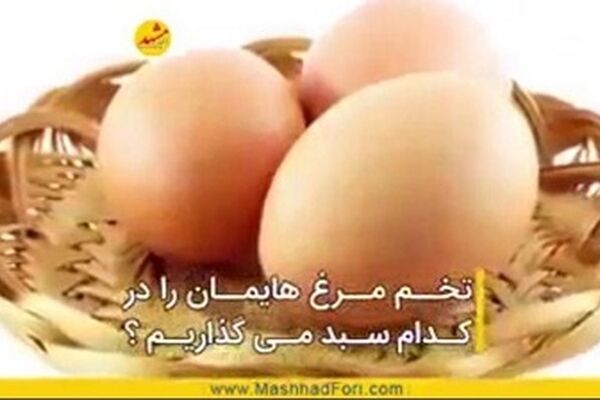 چرا از ظرفیت صادرات تخم‌مرغ به بازارهای کشورهای خارجی استفاده نمی شود؟