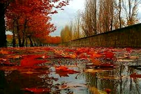 تو این هوا بودن با تو دلچسب است