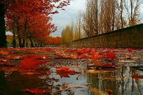 تو این هوا بودن با تو دلچسب است