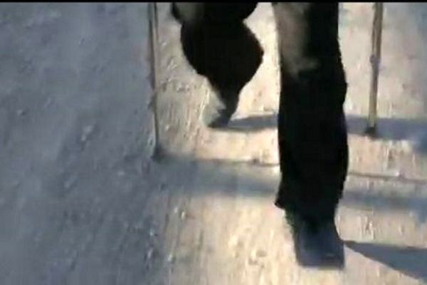 زائری که فقط با یک پا به پابوس امام رضا(ع) آمد