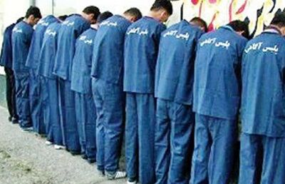 دستگیری ۱۶ عضو یک شرکت هرمی در مشهد / 3 سرشاخه اصلی لو رفتند