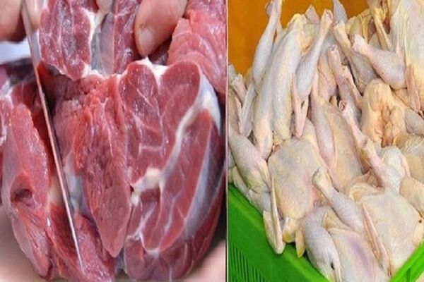 افزایش قیمت گوشت گوسفندی در بازار کاذب است/ در تامین گوشت هیچ مشکلی نداریم