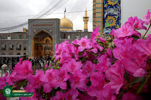 درب‌های حرم مطهر رضوی تا آخر فروردین بسته می‌ماند/ تصمیمات بعدی متعاقبا اعلام می‌شود