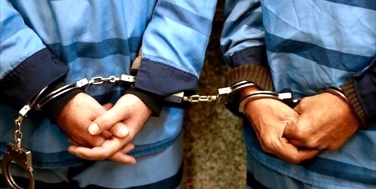 از سارقان عشق کبوتر تا زورگیر نقاب‌دار و  دزدان خانه‌های روستایی در چنگ قانون گرفتار شدند