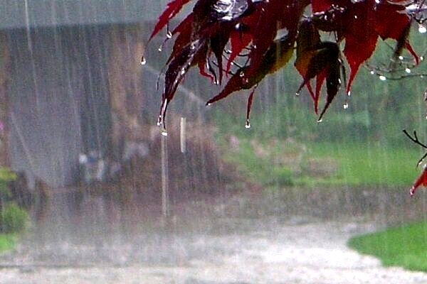 بارش‌های رگباری در خراسان رضوی شدت می‌گیرد