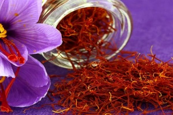 صادرات زعفران مشهد به حداقل رسید