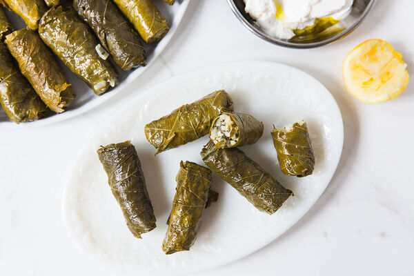 طرز تهیه دلمه برگ مو؛ یک نوبرانه جذاب