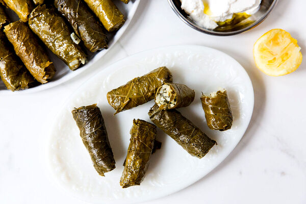 طرز تهیه دلمه برگ مو؛ یک نوبرانه جذاب