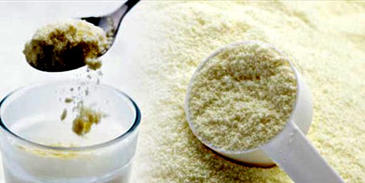 صادرات شیرخشک از شعار تا واقعیت/ موانع تولید پُتکی بر سر تولیدکننده