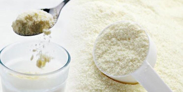 صادرات شیرخشک از شعار تا واقعیت/ موانع تولید پُتکی بر سر تولیدکننده