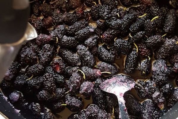 طرز تهیه مربای توت سیاه؛ نوبرانه‌ای جذاب