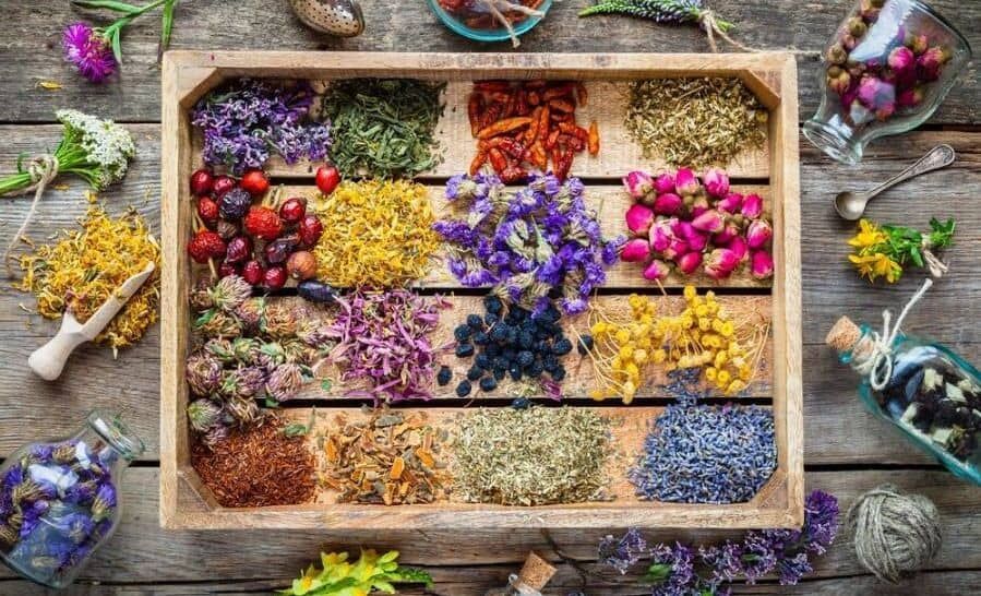 صنایع تبدیلی، حلقه‌ی مفقوده توسعه گیاهان دارویی در خراسان رضوی