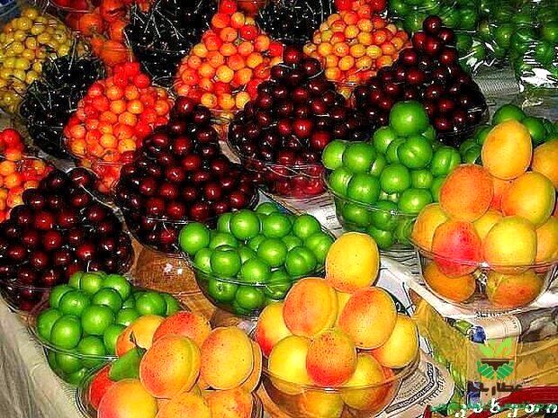 کمبود عرضه باعث گرانی نوبرانه‌ها در مشهد شده است