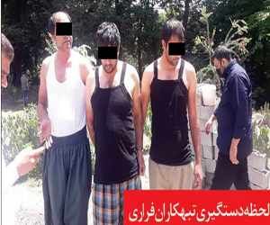 راز غازهای نگهبان در مخفیگاه تبهکاران!