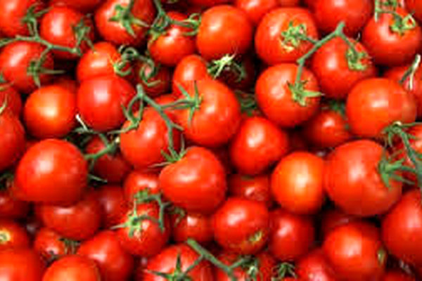 گوجه کیلویی 9000 تومان