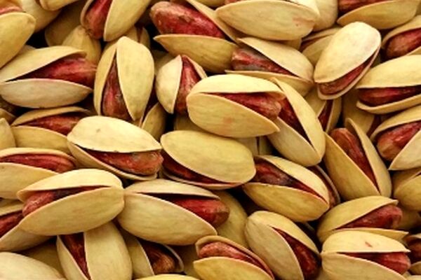 بورس پسته در خراسان رضوی راه‌اندازی شد