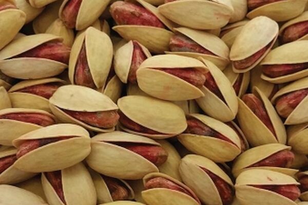 بورس پسته در خراسان رضوی راه‌اندازی شد