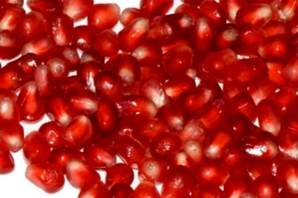 دانلود آهنگ شهرام پارسا شب یلدا