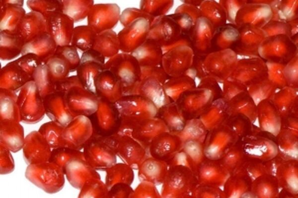 دانلود آهنگ شهرام پارسا شب یلدا