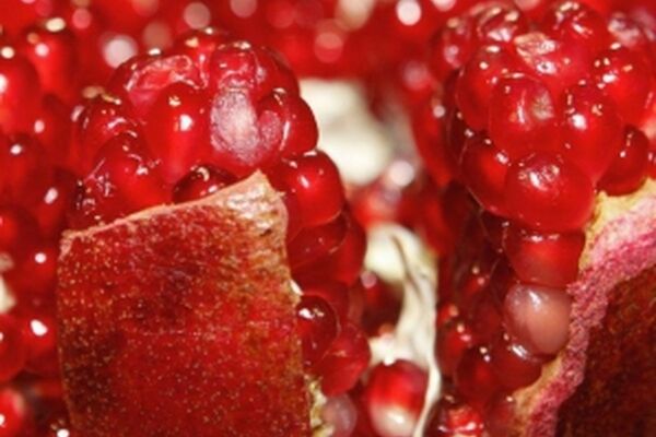دانلود آهنگ شب یلدا مازیار فلاحی