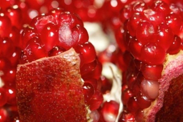 دانلود آهنگ شب یلدا مازیار فلاحی