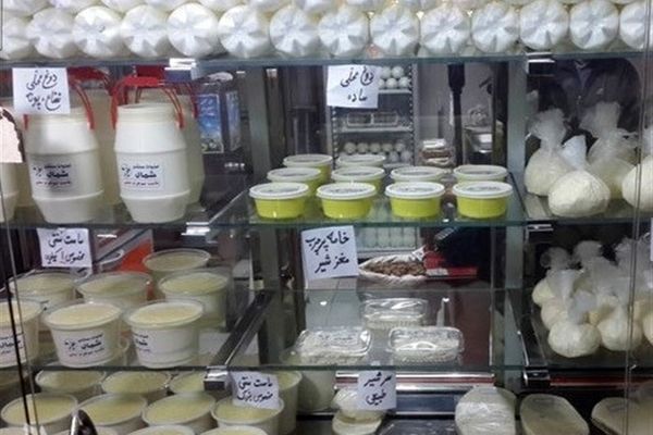 افزایش قیمت لبنیات تخلف است