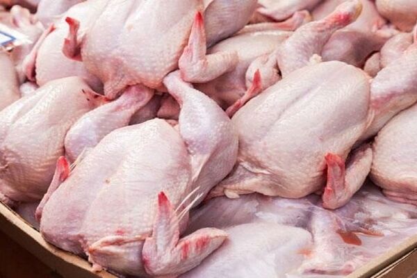 ۴۰۰ تن مرغ منجمد برای تنظیم بازار خراسان رضوی در نظر گرفته شد