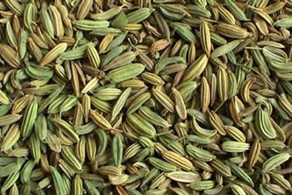 رازیانه، دوستدار خانم‌ها