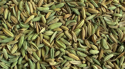 رازیانه، دوستدار خانم‌ها