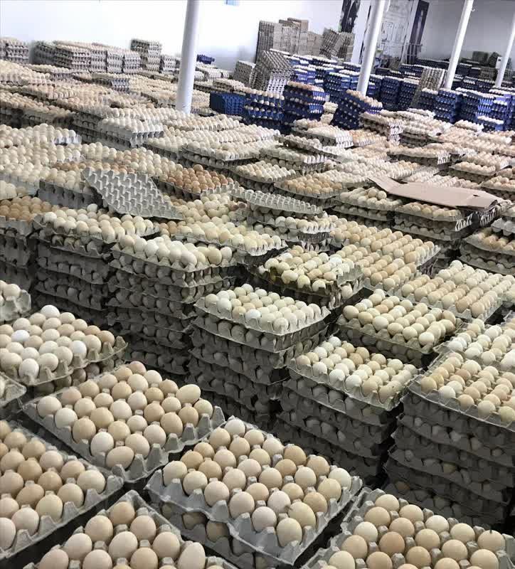 کشف محموله عظیم تخم مرغ تاریخ مصرف گذشته