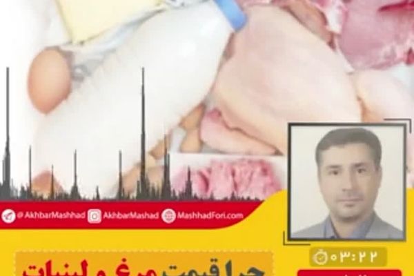 چرا قیمت مرغ و لبنیات بالا می‌رود؟