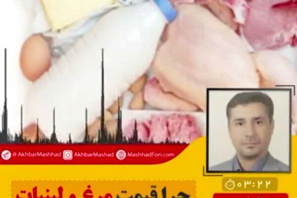 چرا قیمت مرغ و لبنیات بالا می‌رود؟