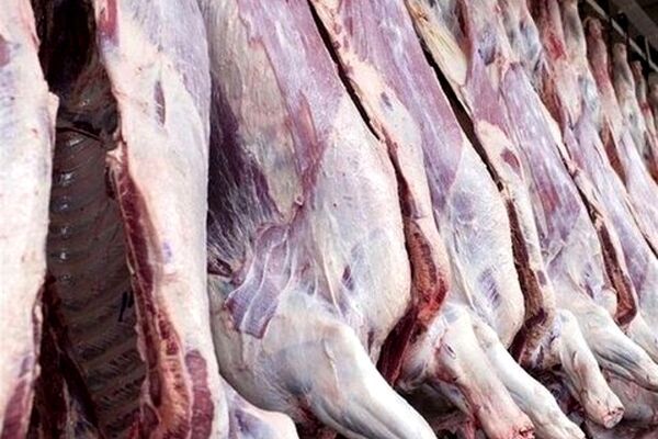 شاهد کاهش قیمت گوشت در روزهای آینده خواهیم بود