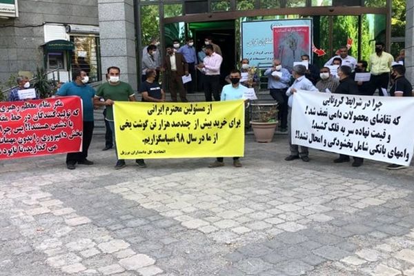 دامداران مشهدی مقابل سازمان جهاد کشاورزی خراسان رضوی تجمع کردند