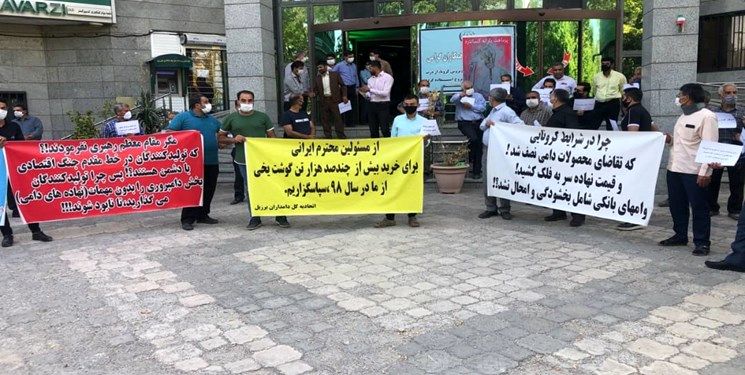 دامداران مشهدی مقابل سازمان جهاد کشاورزی خراسان رضوی تجمع کردند