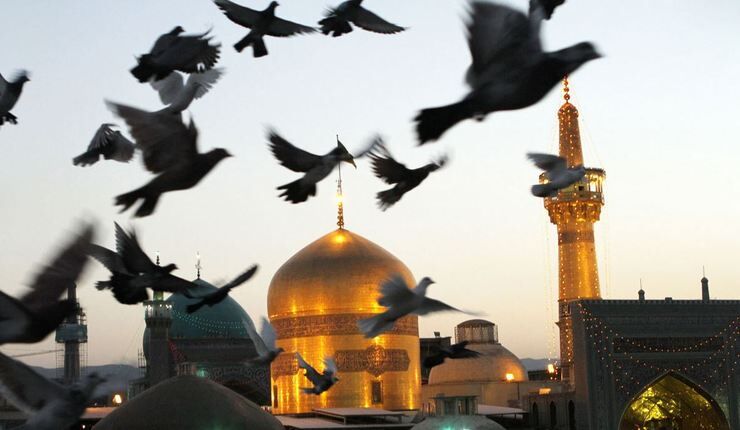 حرکت دسته جمعی پرندگان بر فراز گنبد طلای امام رضا(ع)