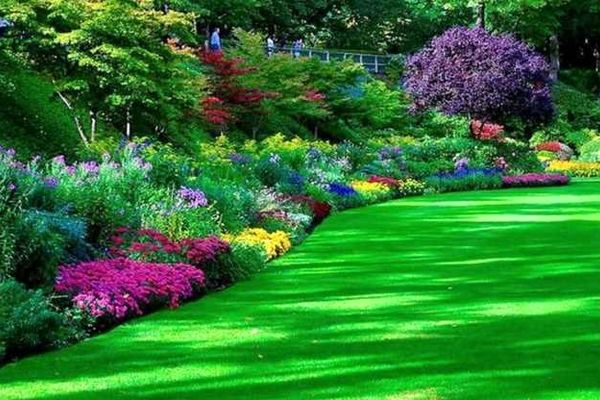 سالانه بیش از ۲۰ میلیارد تومان صرف پرداخت قبوض آب بوستان‌های سبز مشهد می‌شود