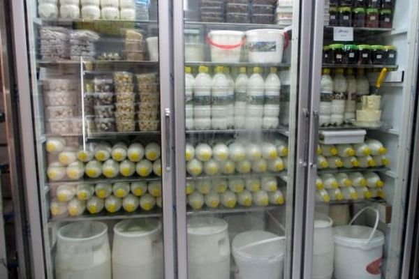 وضعیت لبنیات بهتر خواهد شد