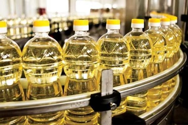 کاهش تولید روغن خوراکی در خراسان رضوی/ کمبود دانه‌های روغنی