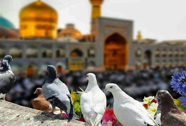 یک بام و دو هوای ممنوعیت سفر به مشهد