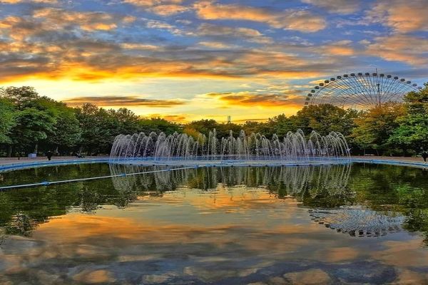 برگ‌های زرد پاییزی در پارک ملت مشهد